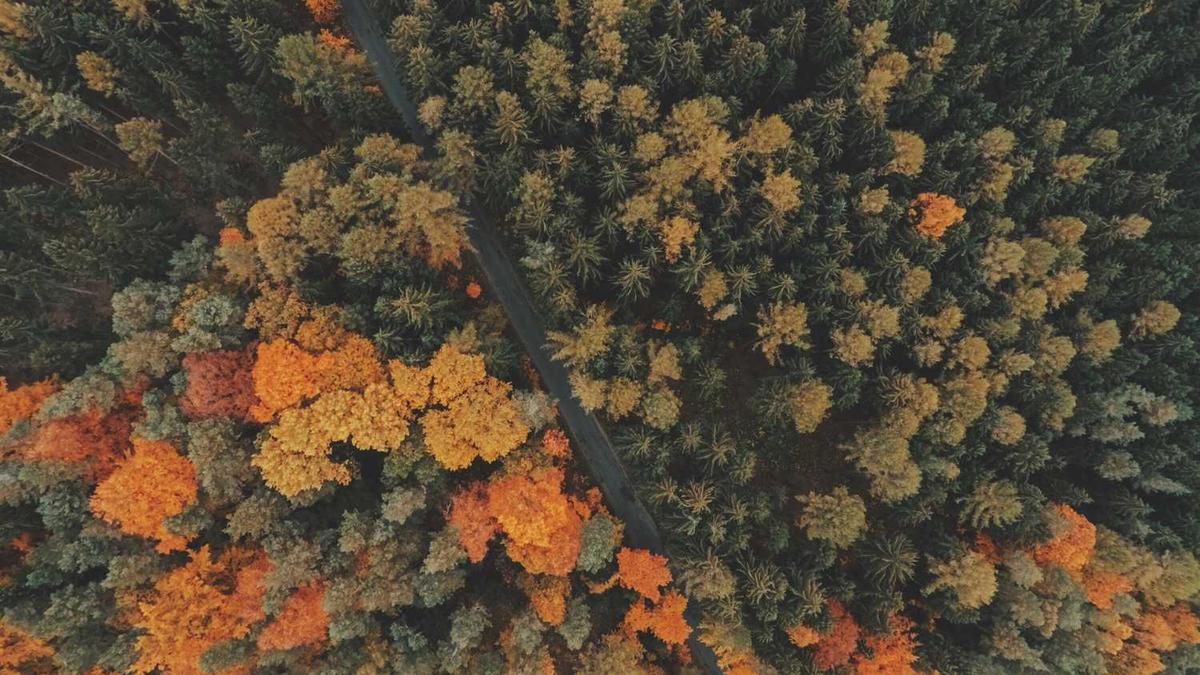 我的价值观系统是否存在“递归”调用是否在某些问题上陷入无限循环