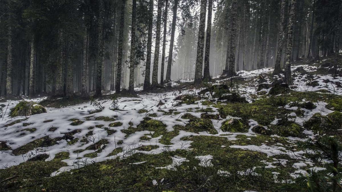 为Wi-Fi信号在家中的分布强弱，绘制一幅情感化的“幽灵栖息地图”