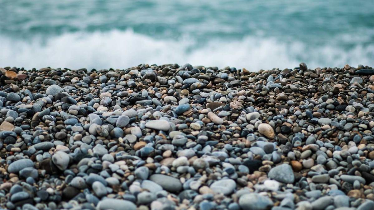 哈姆雷特手持手机，表情绝望。说明：在短视频中，哈姆雷特的表情和动作生动地表现出他对“已读不回”的焦虑。