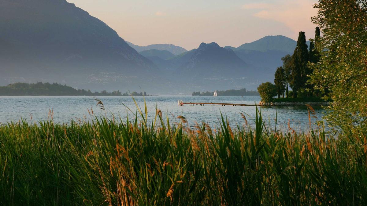 国际体育学术会议成为拉帮结派、推销自家仪器和理论的场所，真正的学术交流稀少。