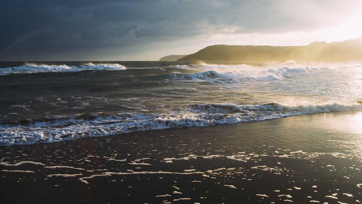 利用体育明星发行NFT数字藏品进行非法集资，承诺与实际权益完全脱钩。